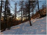 Planina Zajavornik - Debeli vrh above Lipanca